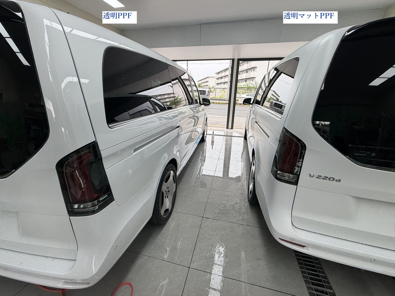 V220d 2台を後方から比較、左に透明PPF車、右に透明マットPPF車