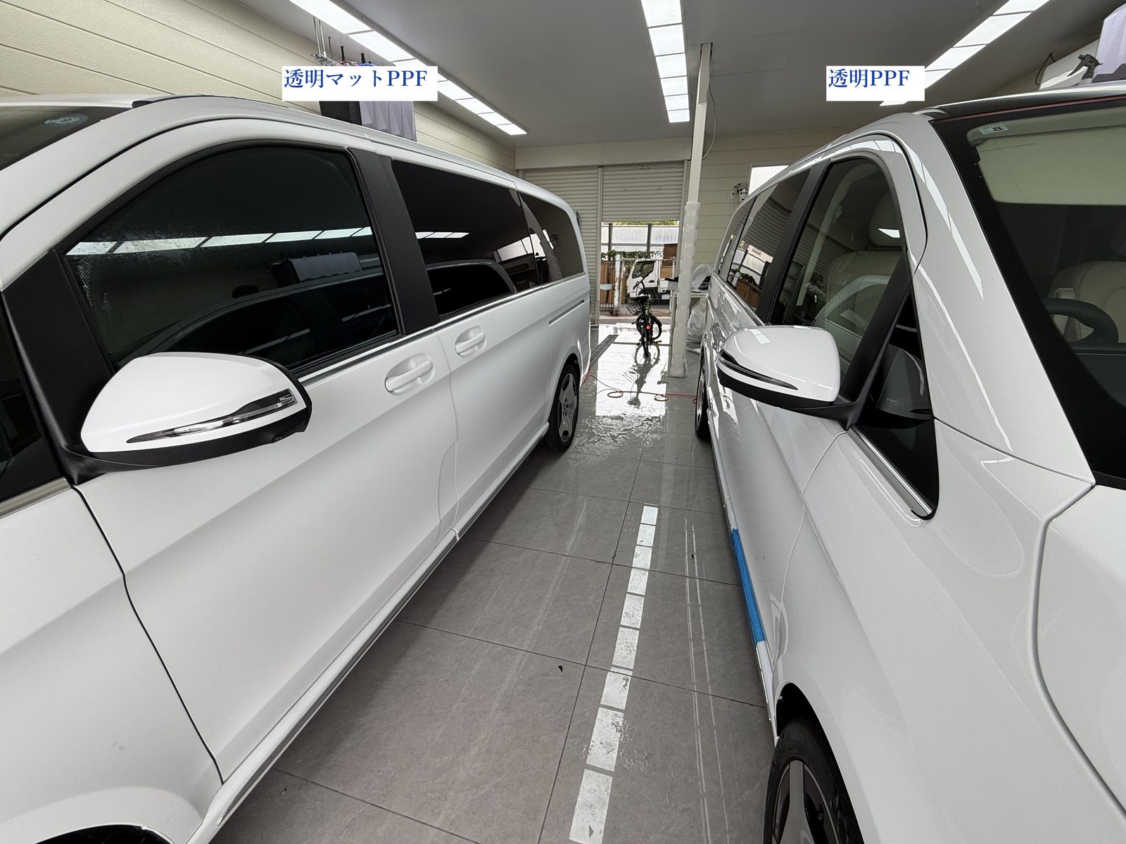 白いV220d 2台の側面、左は透明マットPPF、右は透明PPF