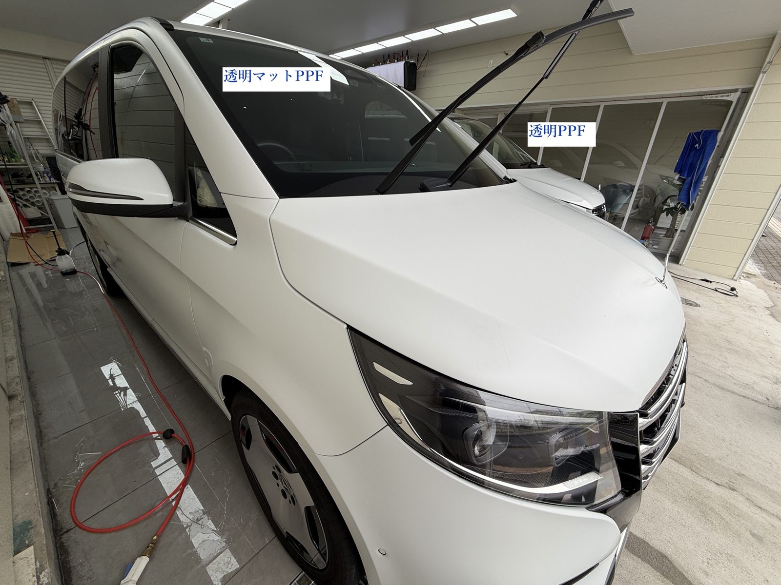 白いV220d Platinum SuiteにEISUI透明マットPPFを施工したフロント斜め