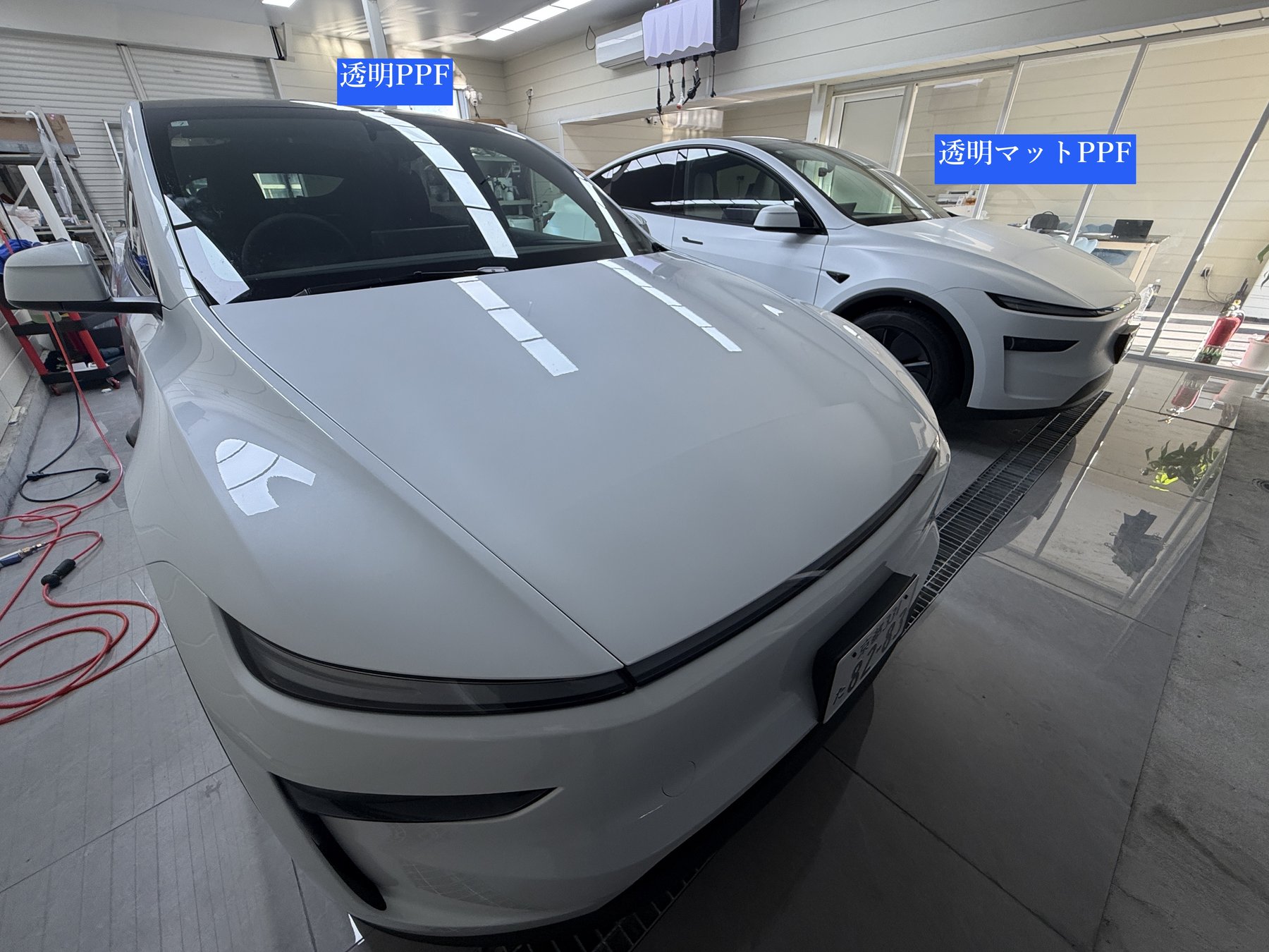 大阪 Tesla Model Y パールホワイト EISUI透明PPF施工後