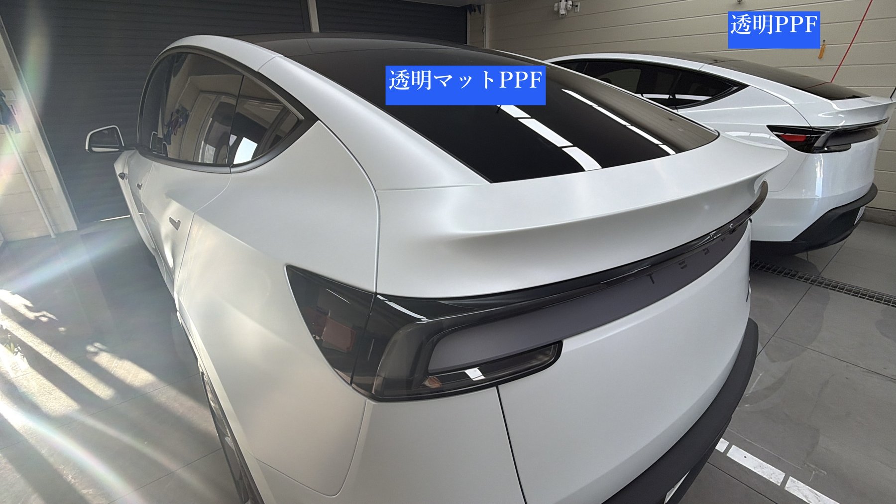 大阪 Tesla Model Y パールホワイト 透明マットPPF リア斜め