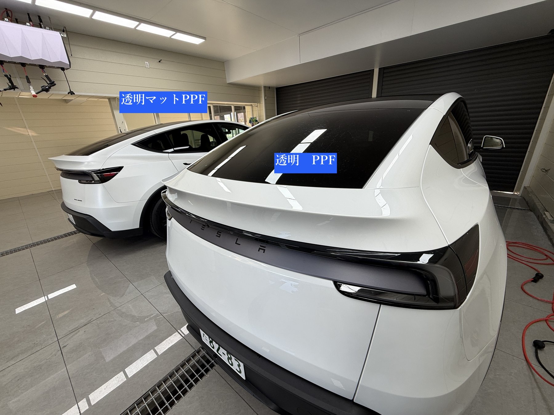 大阪 Tesla Model Y パールホワイト リアアングル 透明PPF と 透明マットPPF