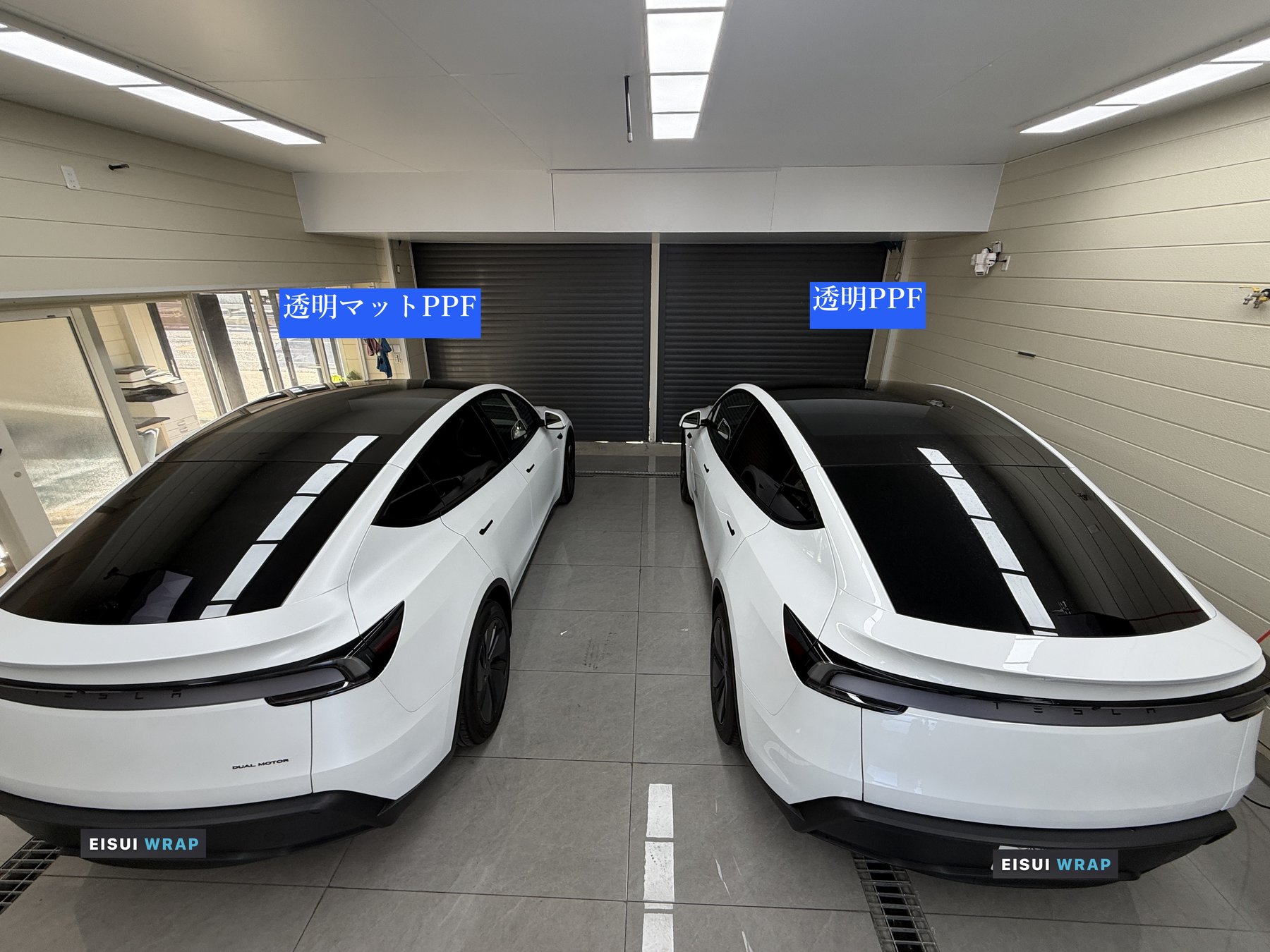 大阪 Tesla Model Y パールホワイト 透明PPF と 透明マットPPF 上から比較